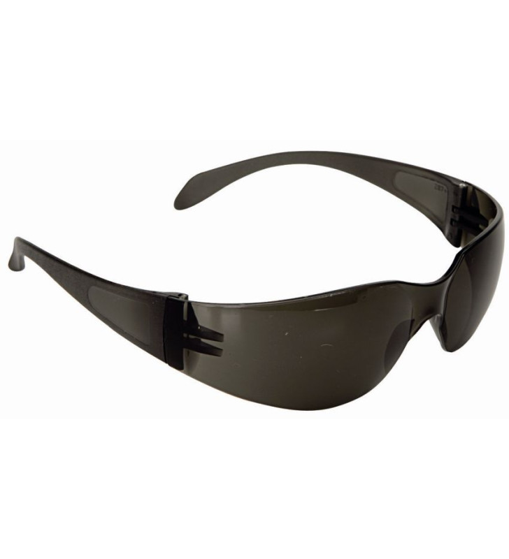 Lunettes de protection 590G CLIMAX