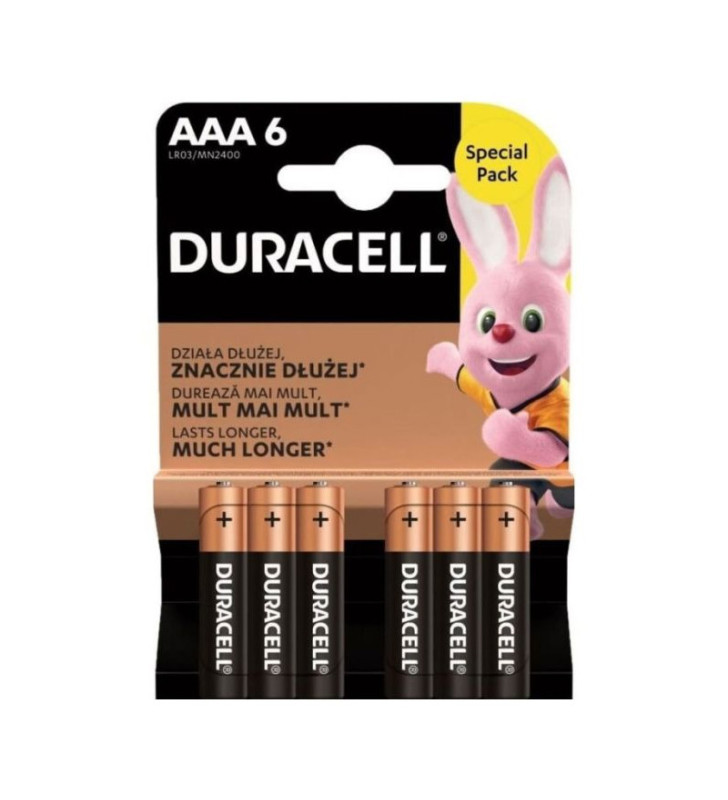 Piles DURACELL Plus Power AAA6