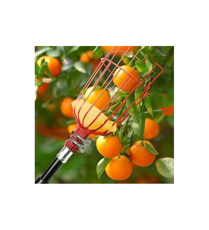 COLLECTEUR DE FRUIT HARDEN