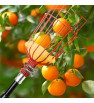 COLLECTEUR DE FRUIT HARDEN